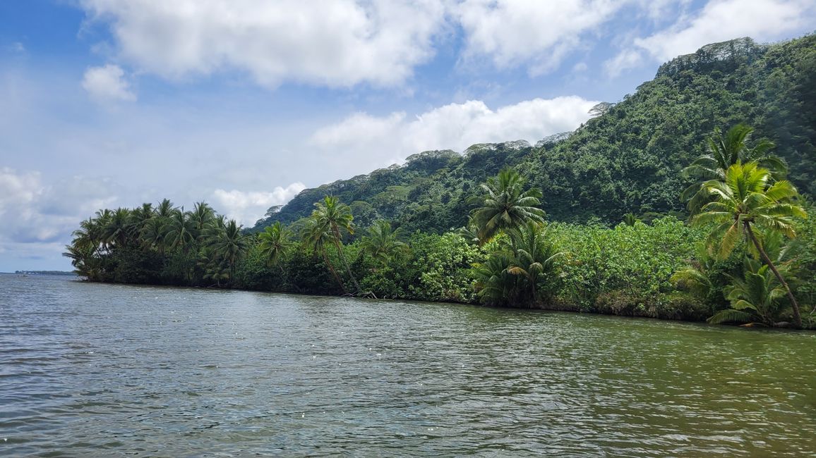 Raiatea – Along the Fa’aroa River