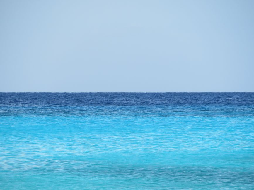 Curacao bleu
