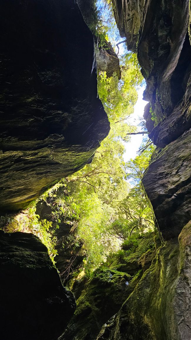 Haast Pass - Isthmus Peak - Wānaka