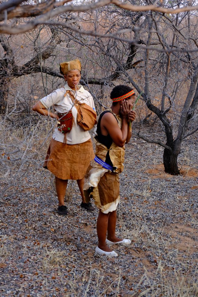 Okavango Delta 🇧🇼