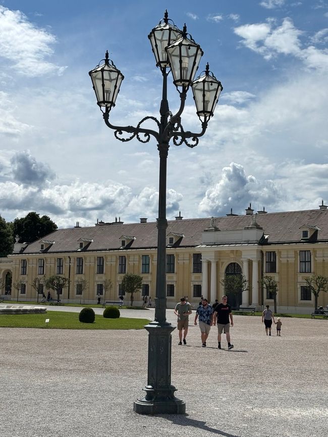 Viena