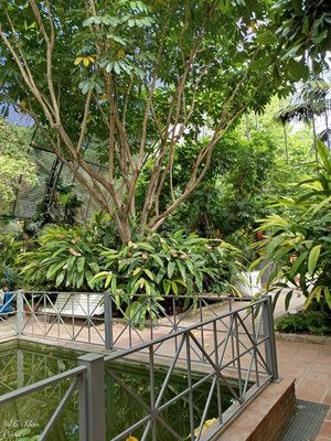 Valencia Stadt und Botanischer Garten