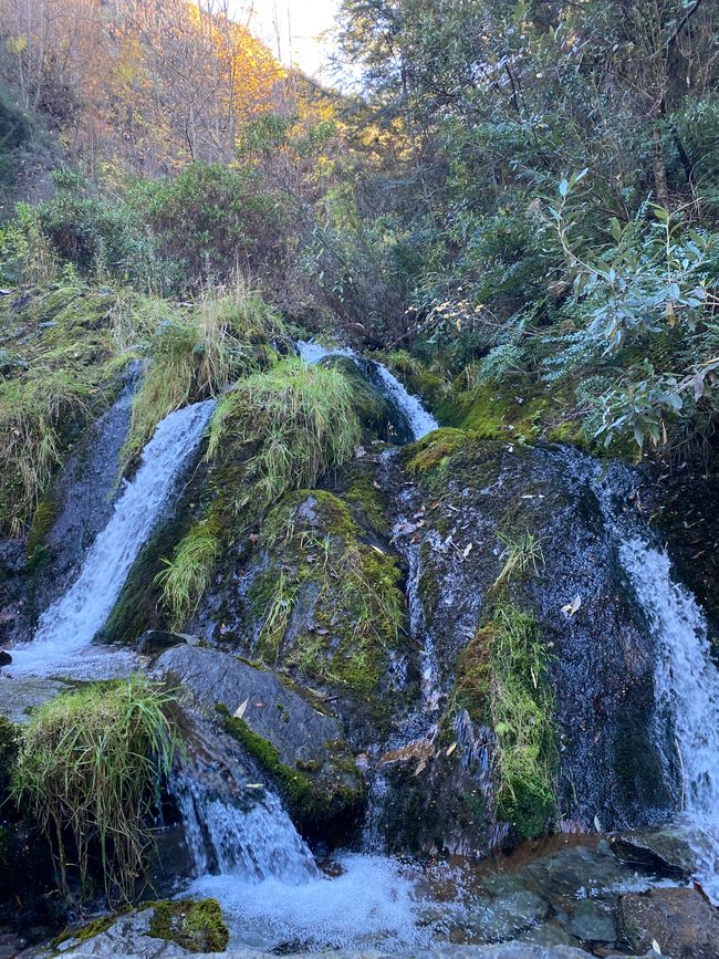 Arrowtown, Queenstown