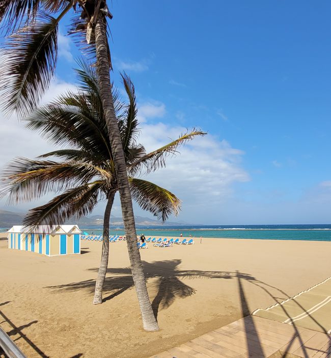 Tag 165 (Teil 2) von 175 geplanten Tagen - Kreuzfahrt rund um die Welt - Las Palmas/Gran Canaria