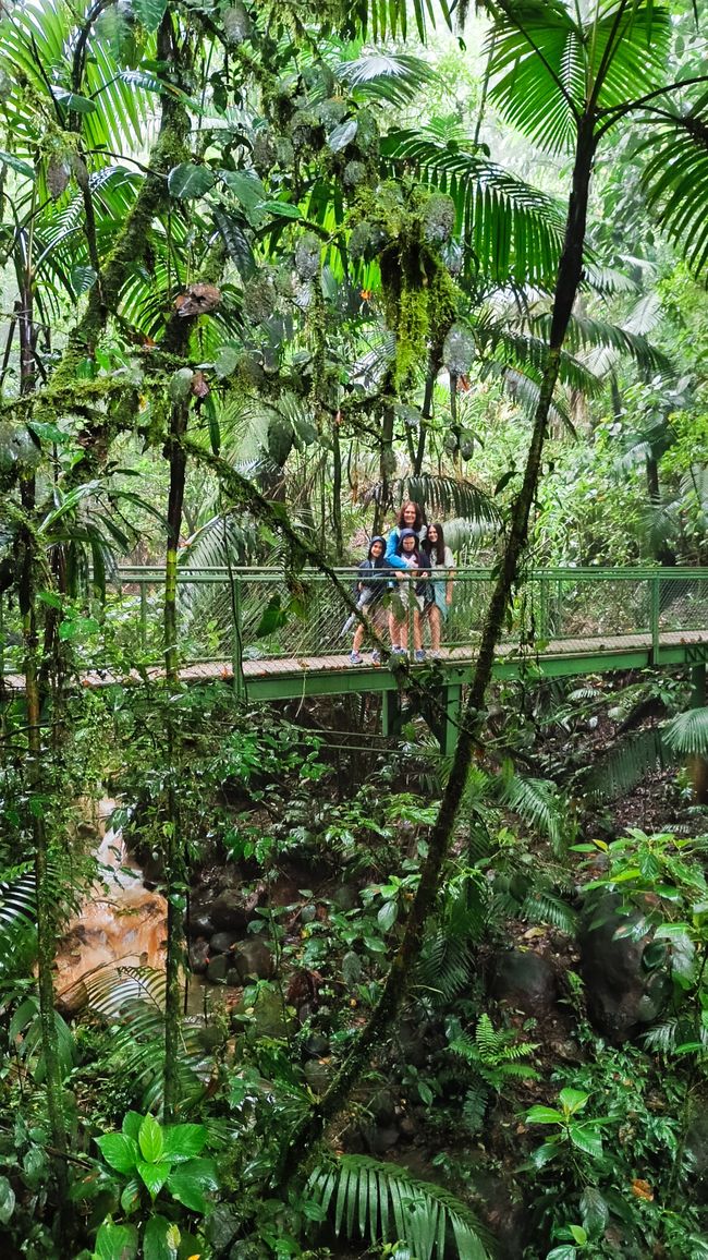 Costa Rica_Mistico Hanging Bridge Park