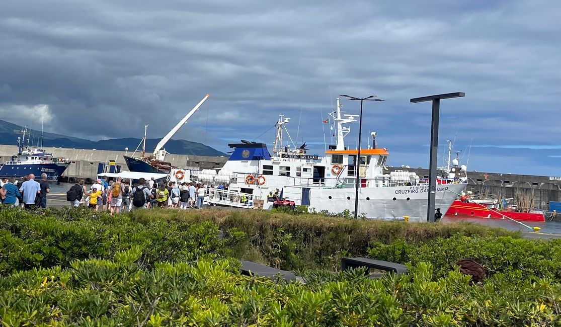 Faial el número 4