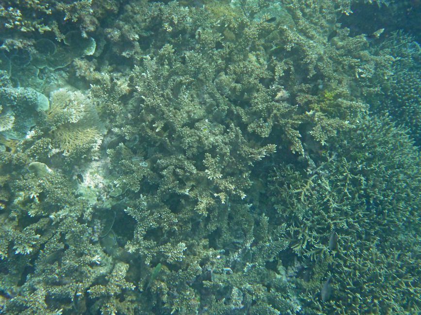 Waiag, Raja Ampat, Indonesia