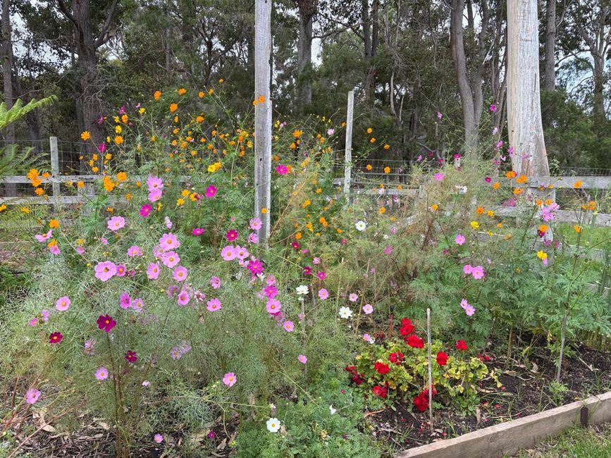 Margaret River