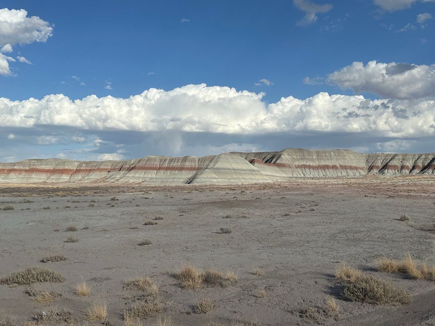 Arizona/Nuevo México/Bosque Petrificado/Playas Blancas