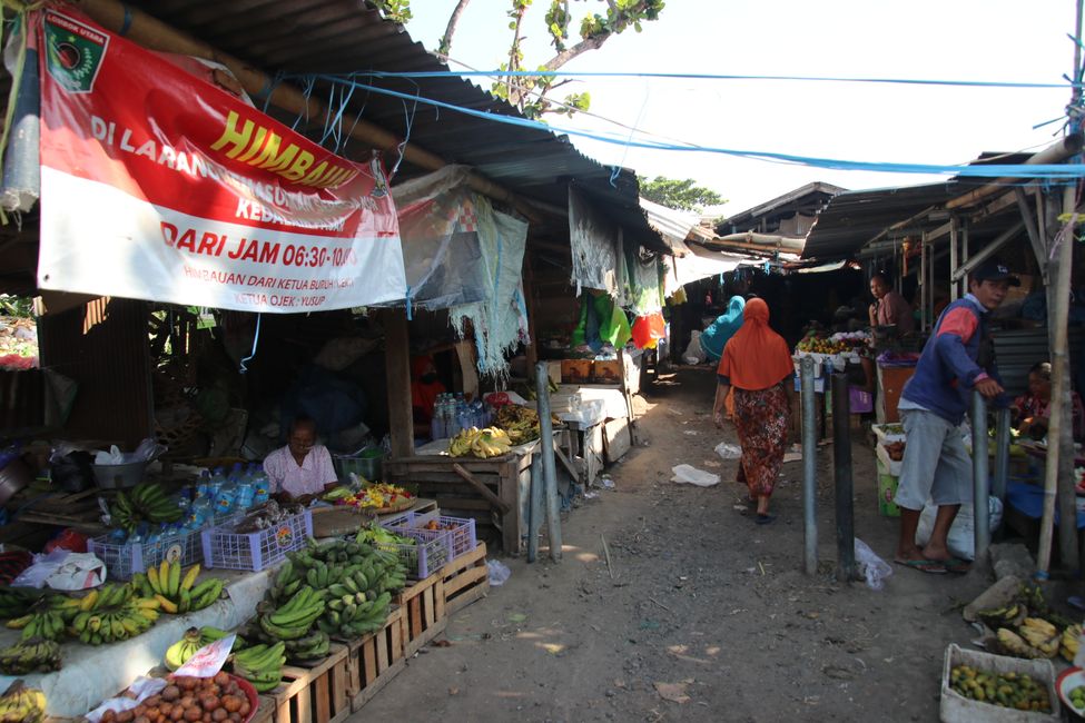 Etiqueta 16: En camino por Lombok