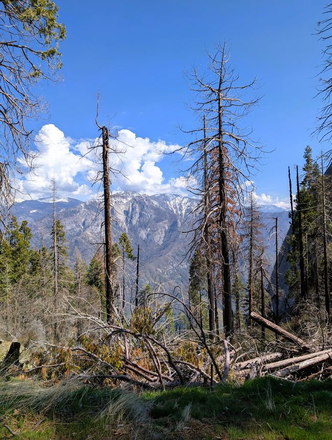 Parque Nacional Kings Canyon