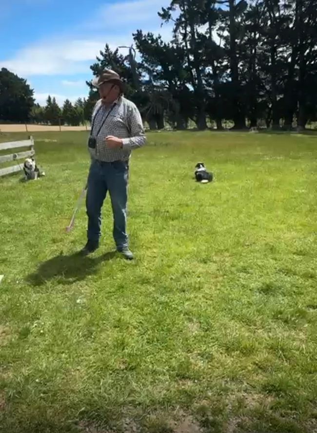 Rubicon Valley 🐑🐑🐕🐕