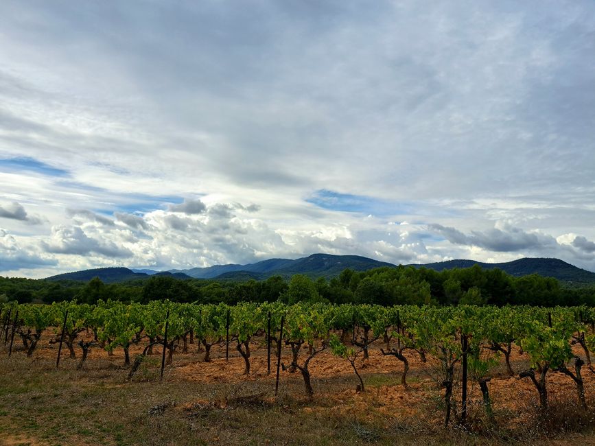 Lugar de descanso en el viñedo