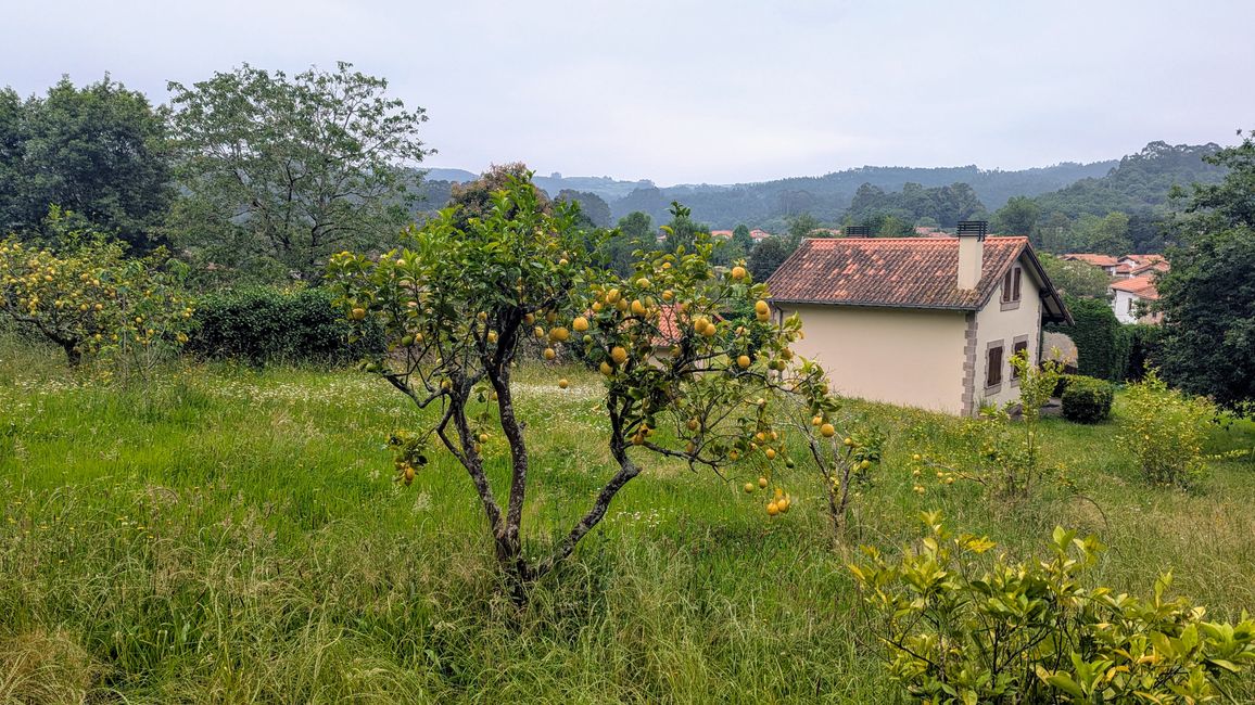 9. Etappe Camino del Norte von Santillana del Mar nach Comillas