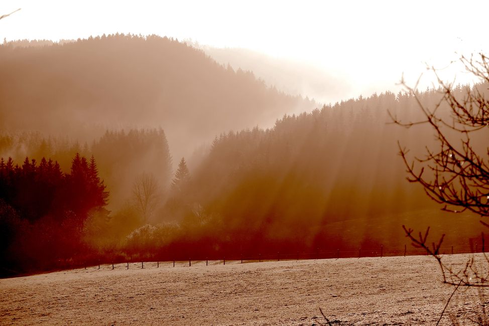 Maare sind die Augen der Eifel