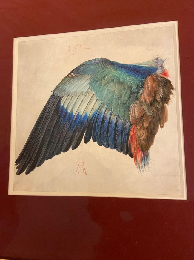 Dürer u Da Vinci