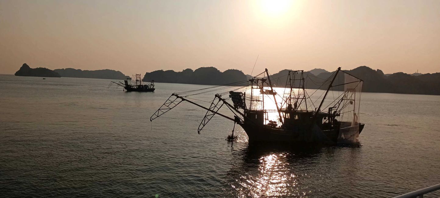 2025-01-11 Cat Ba, Vietnam