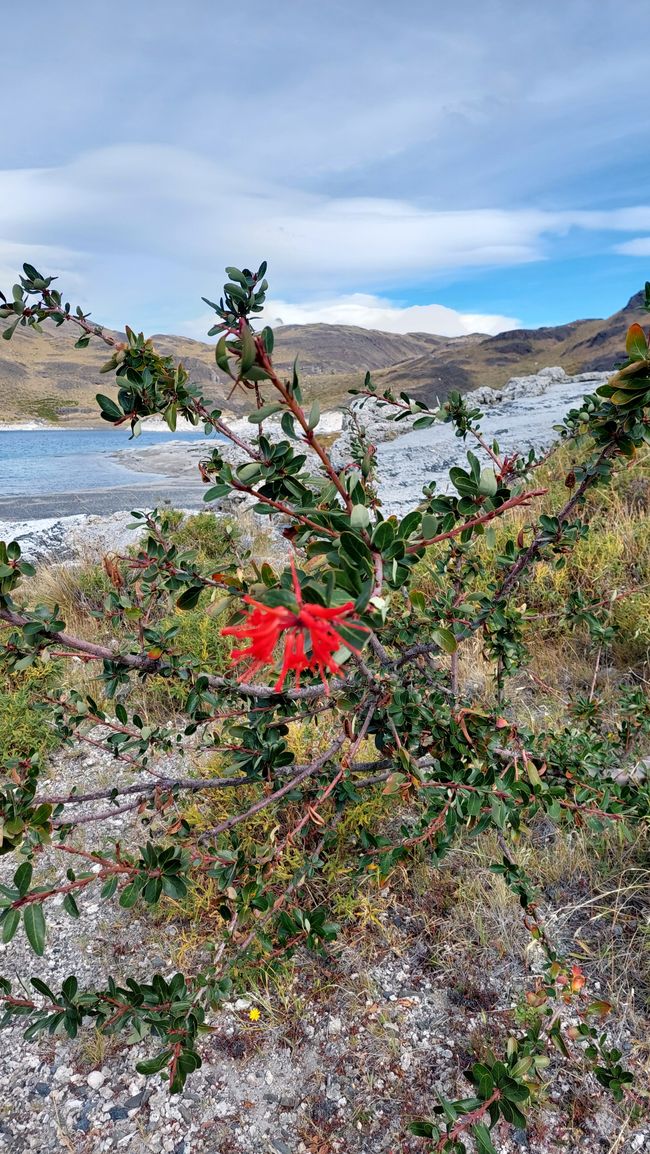 Chile - Santiago und Patagonien