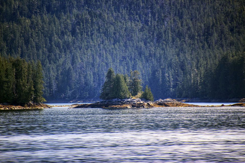 Etiqueta 13: Port Hardy - PASAJE INTERIOR - Prince Rupert