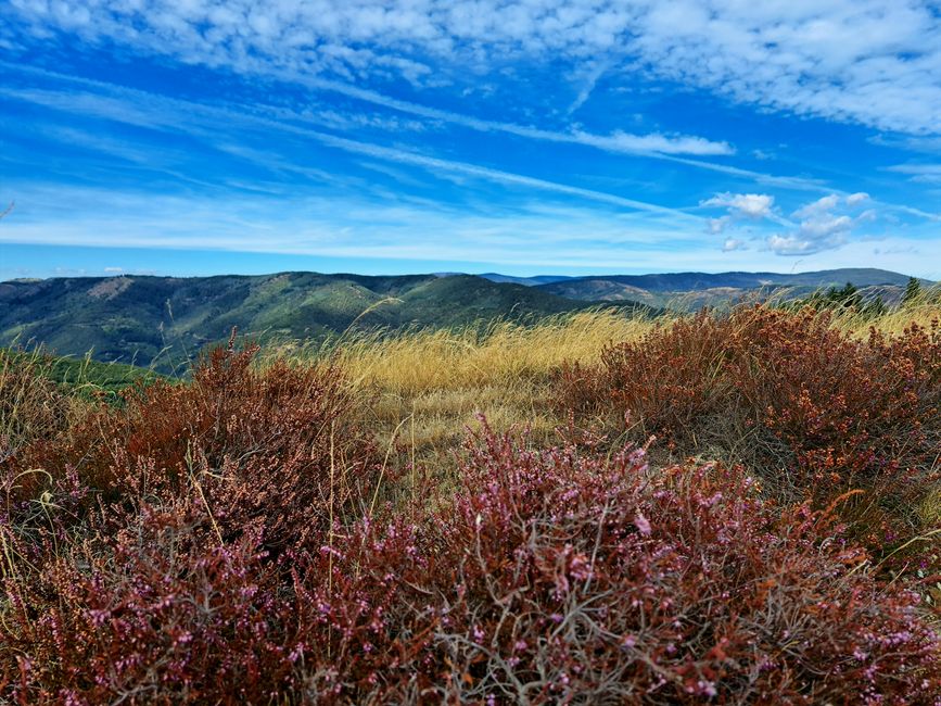 Corniche des Cèvennes