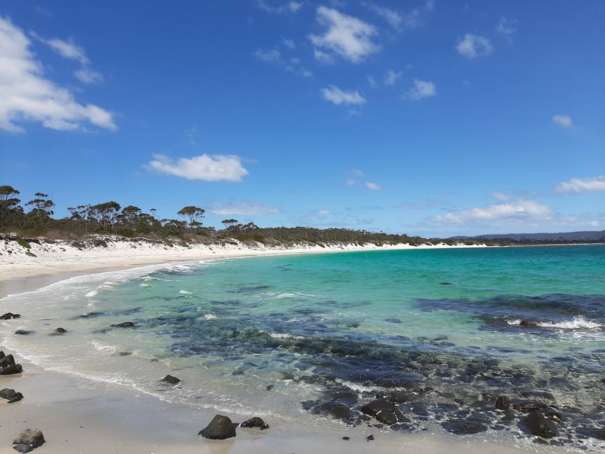 - Singapur & Tasmania 2019 -