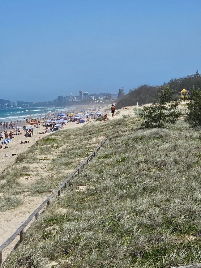 63. Etiqueta Brisbane, Australia 26.01.2026