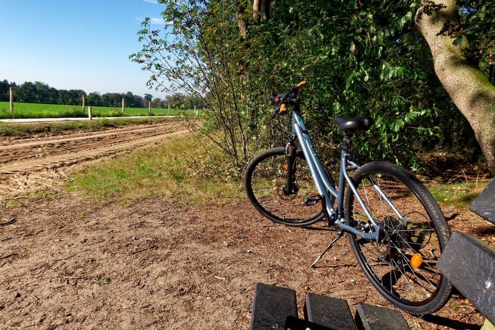 Radfahren in der Veluwe