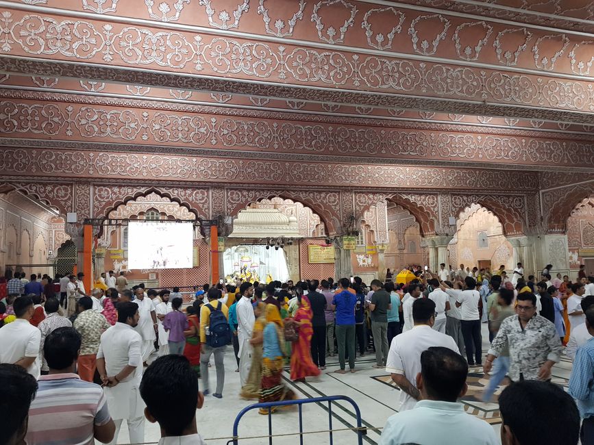 Hindu Ceremony and Monkey Temple