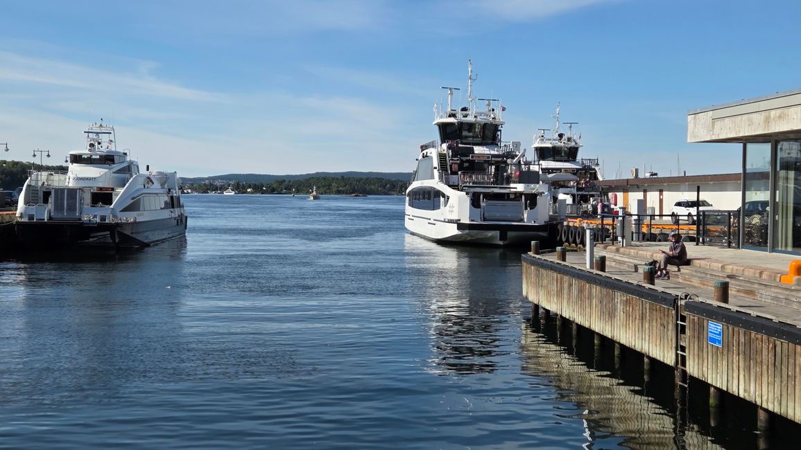 Viel los im Hafen