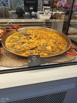 Valencia Stadt und Botanischer Garten