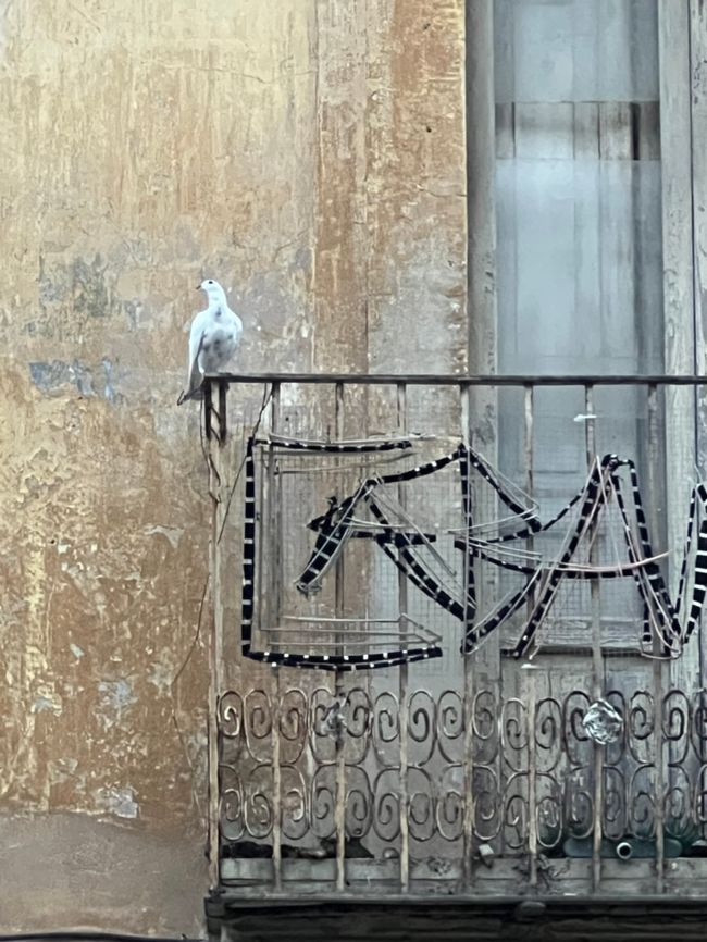 Valencia