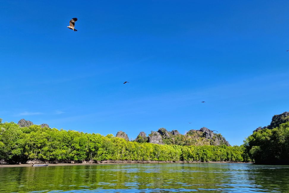 Life in water and on land