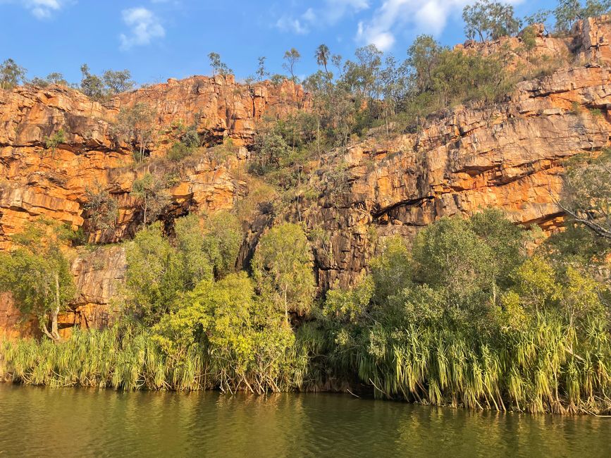 The walls of the gorge are densely covered with vegetation near the water