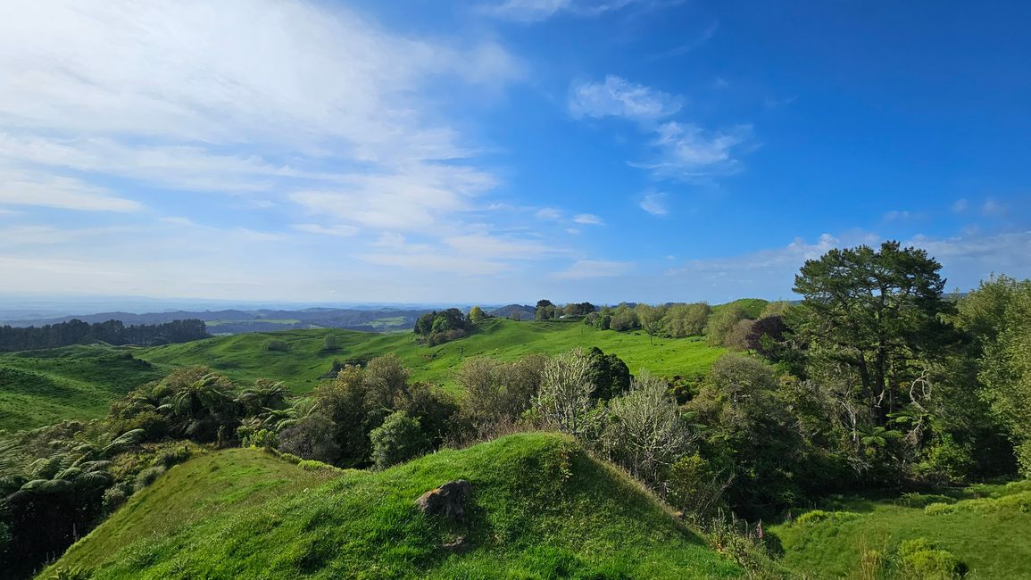 Piopio - Te Kūiti - Waitomo Caves