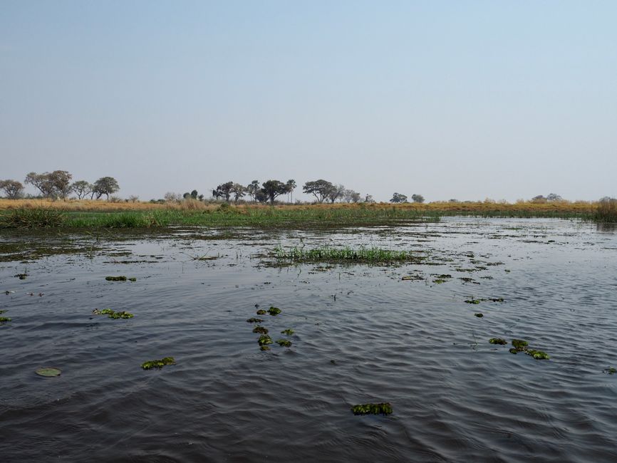 Das letzte angestrebte Highlight: Das Okavangodelta 