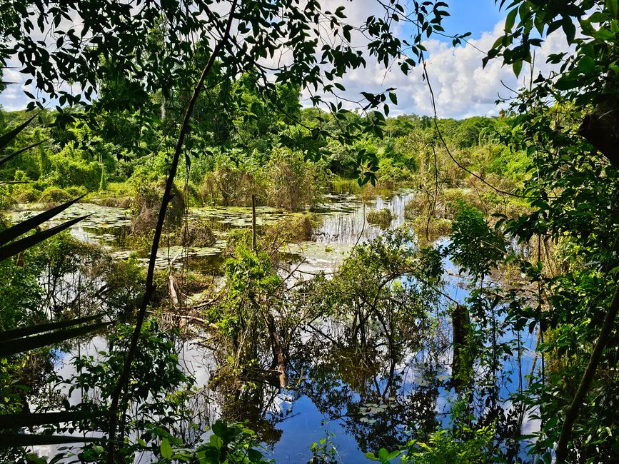 Tulum, Coba and Cenote