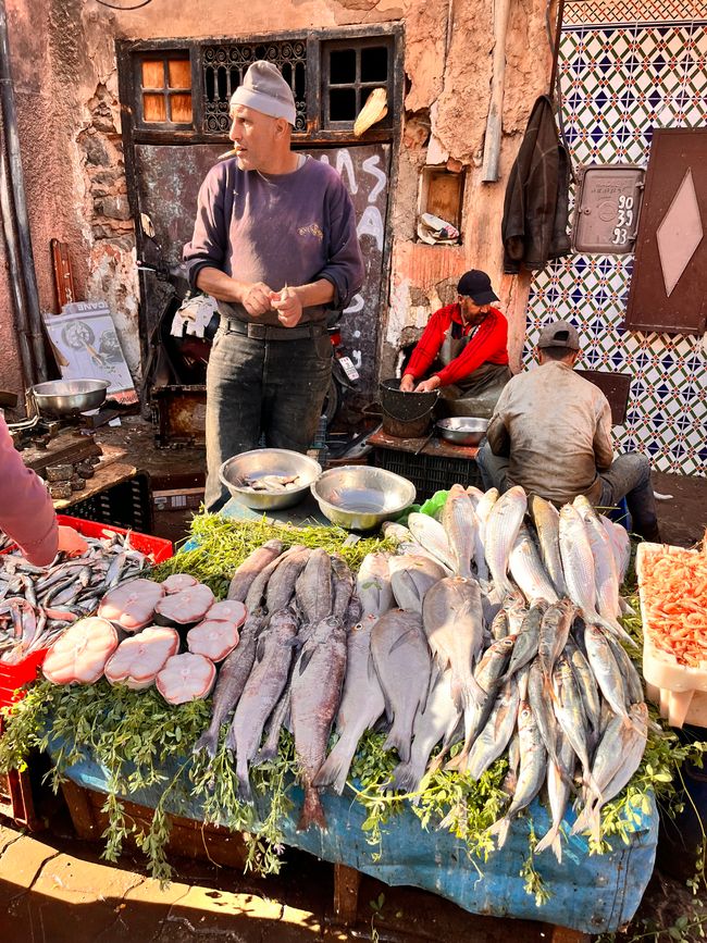 Marruecos #4: Marrakech, rockin '60, de vuelta al mar y una decisión