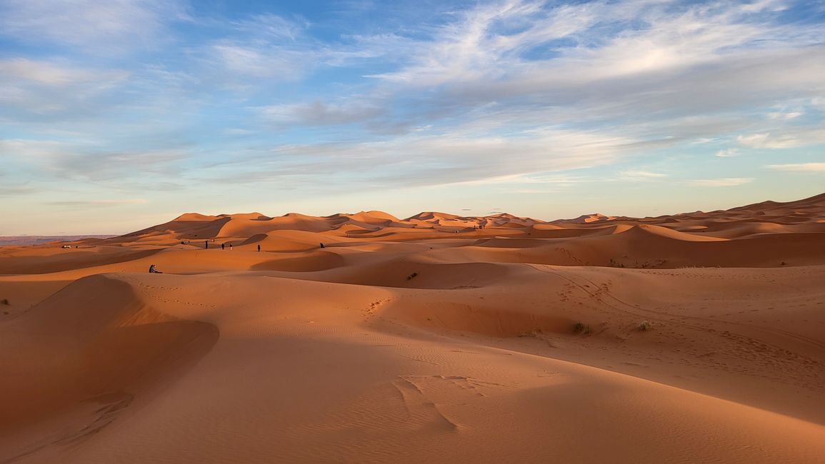 Sahara