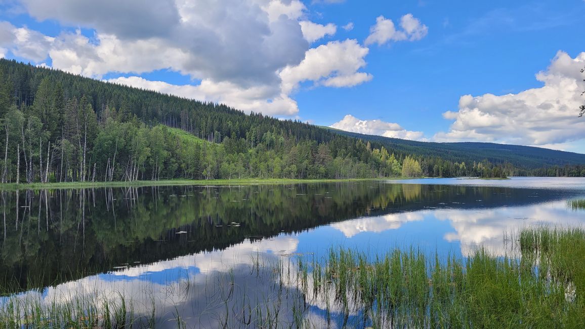 Oslo Gjøvik 9-16 de julio de 2024/13 de julio