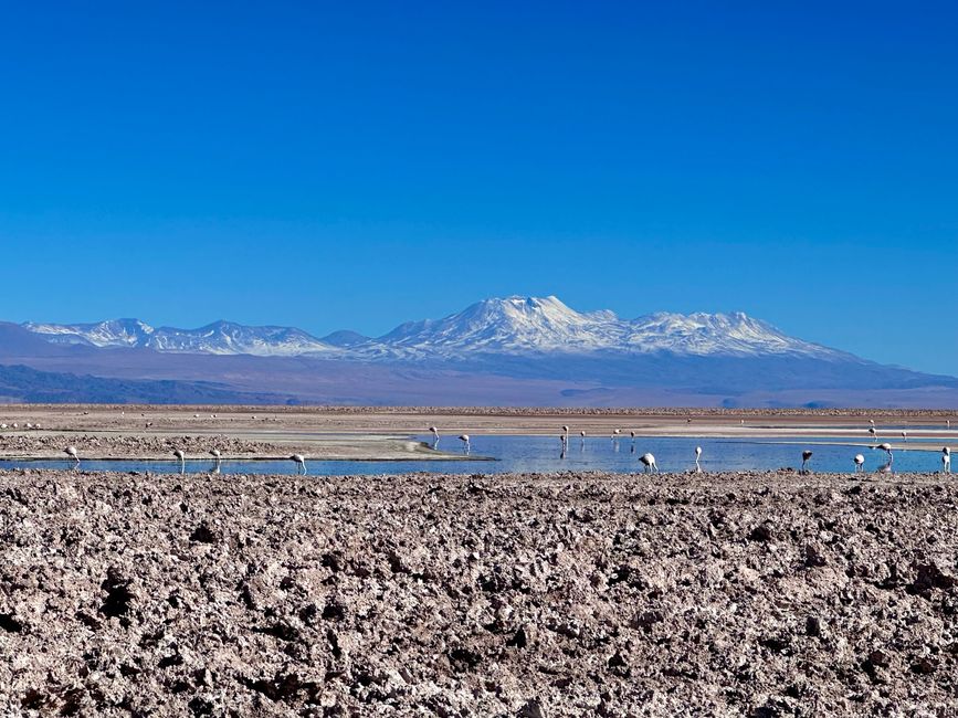 Day 18 - San Pedro de Atacama