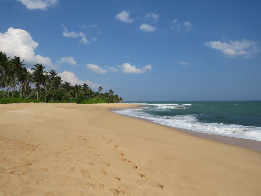 Tangalle - Folie de Plage