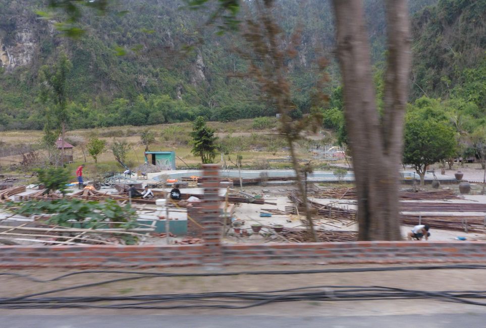 Le Woodstock Jungle Camp est en chantier