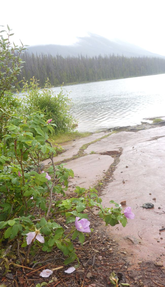 Honeymoon Lake
