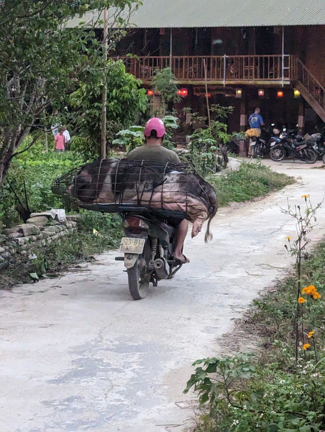 Ha Giang Loop - Solotrip durch den Norden Vietnams