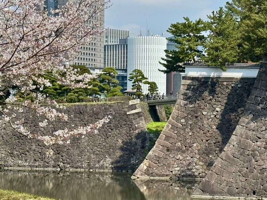 Parte 7
BENVENUTO IN GIAPPONE 🇯🇵
TOKYO