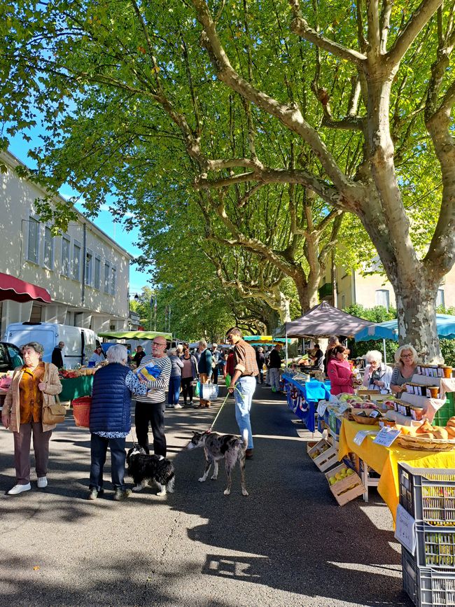 Markt in Saint-Jean-du-Gard