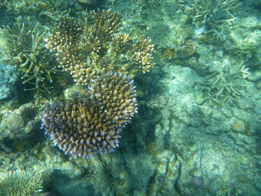 Misool, Westneuguinea, Indonesien, Insel-Ausflug
