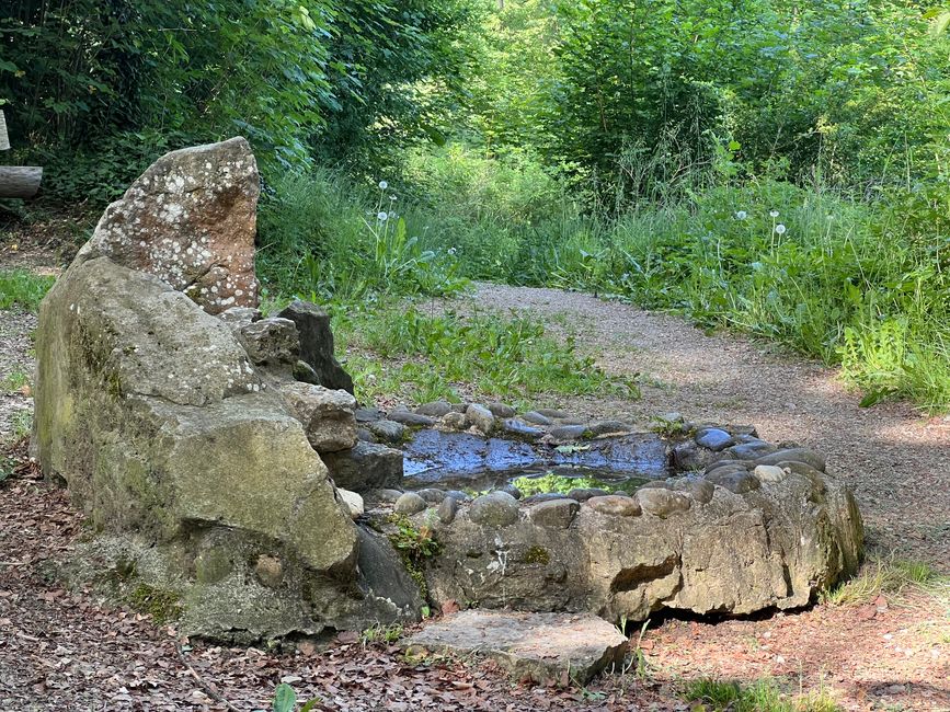 24a Spaziergang nach Donaueschingen