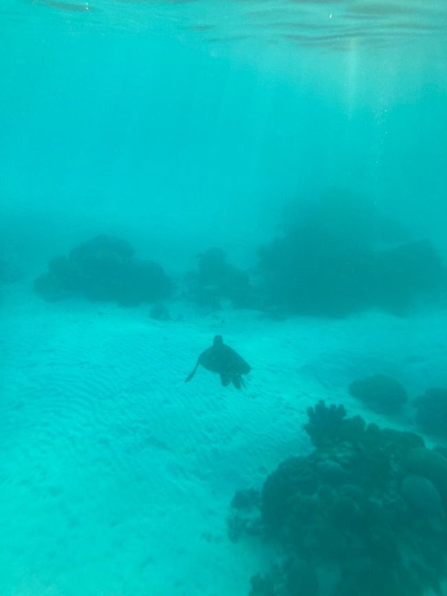 Auf der Marcopolo Blue von Lombok nach Flores