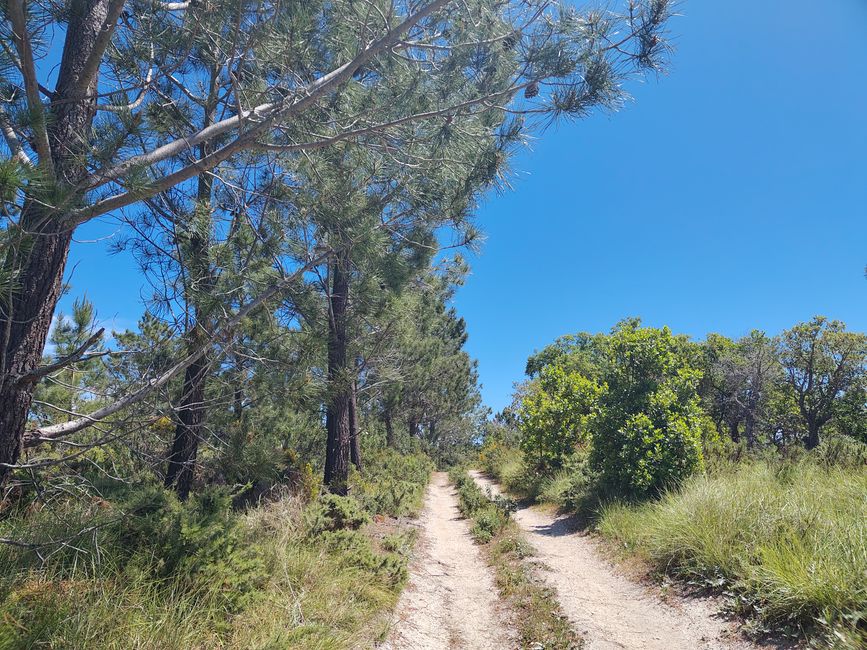 Arrifana -> Aljezur